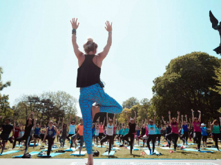 serial_yogger_esprit (15)