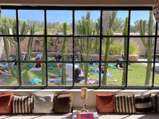 serial_yogger_galeries_retraites (11)