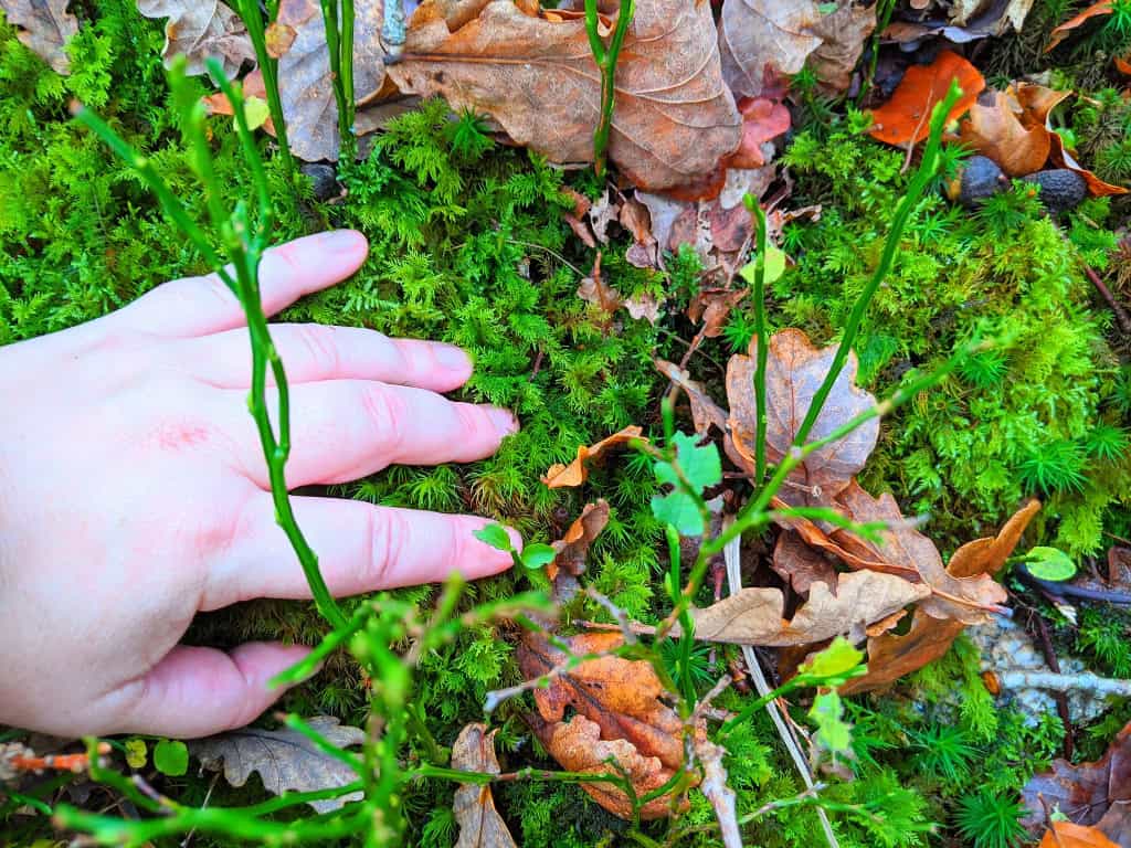 Serial Yogger Retraite Grange du Yoga