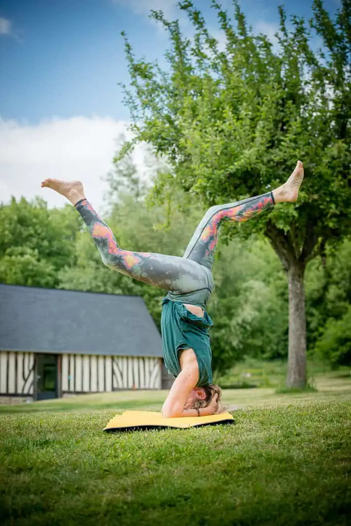 Serial Yogger Retraite Grange du Yoga