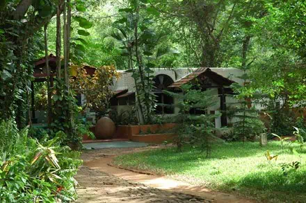 Serial Yogger Retraite en Inde