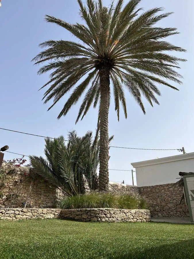 retraite_maroc_serial_yogger_ (2)